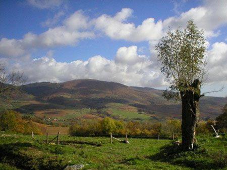 La Begude D'Amalthee Βίλα Vernay Εξωτερικό φωτογραφία